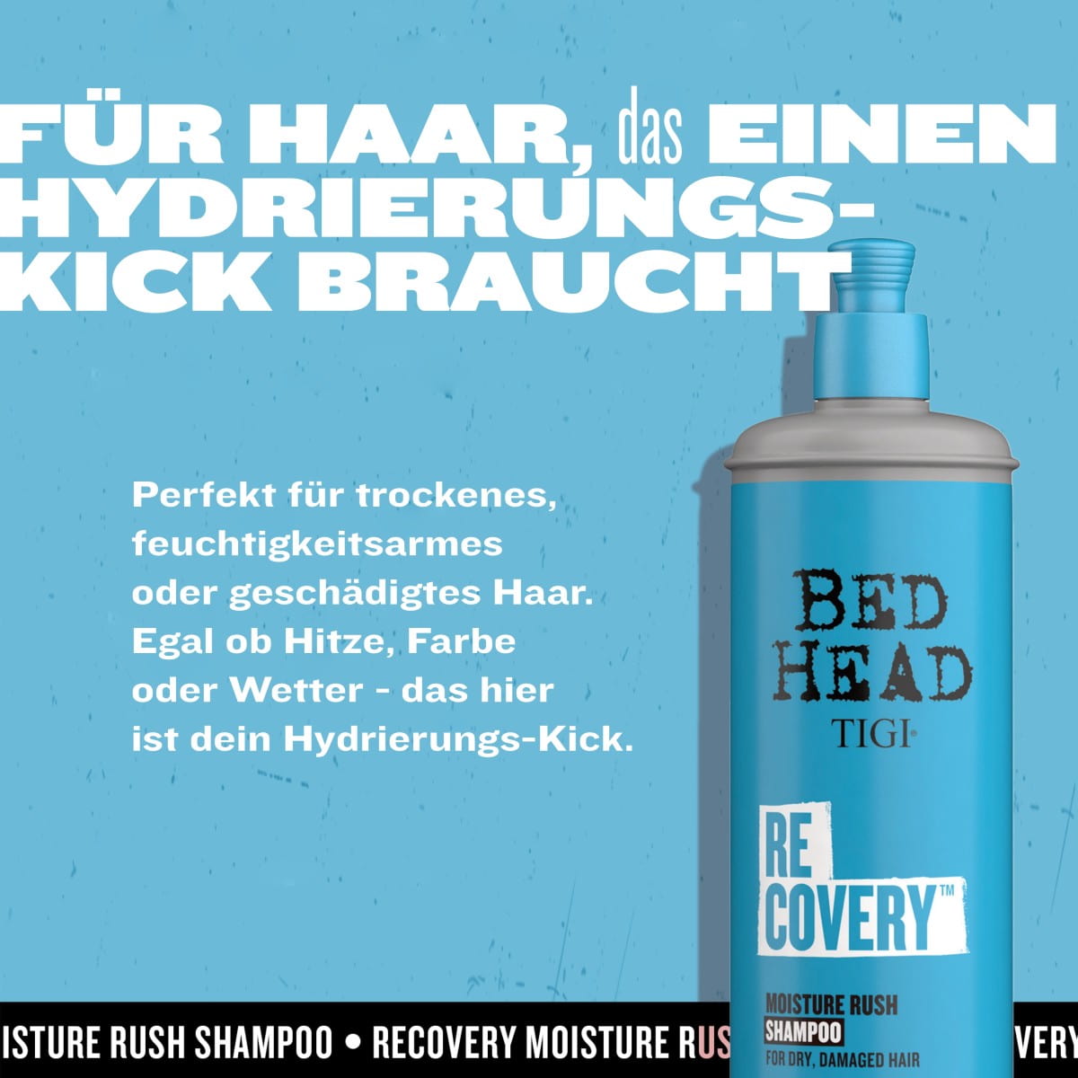 Recovery Moisture Rush Shampoo