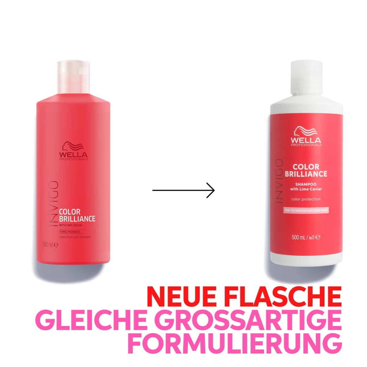 Shampoo fine