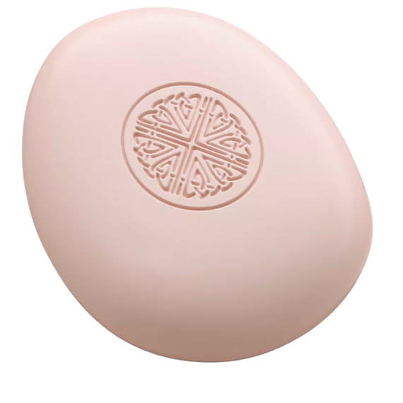 Shampoo & Body Bar