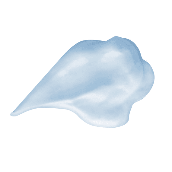 Wonder Skin Primer