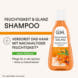 Feuchtigkeit & Glanz Shampoo