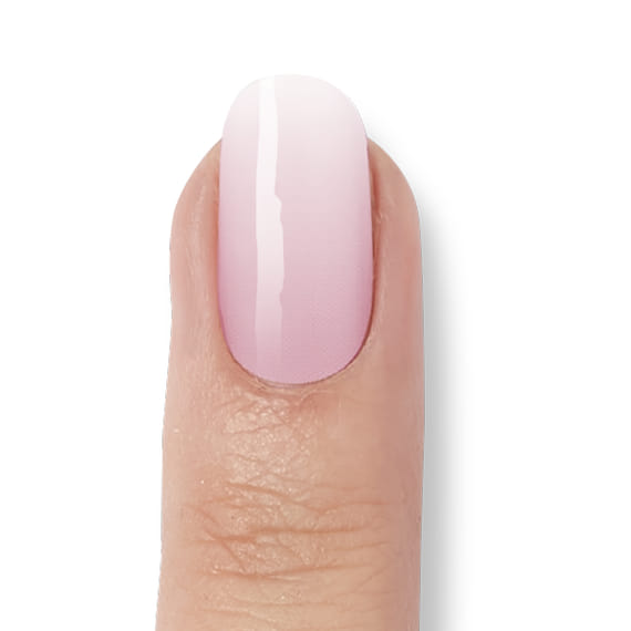 Rose Babyboomer UV