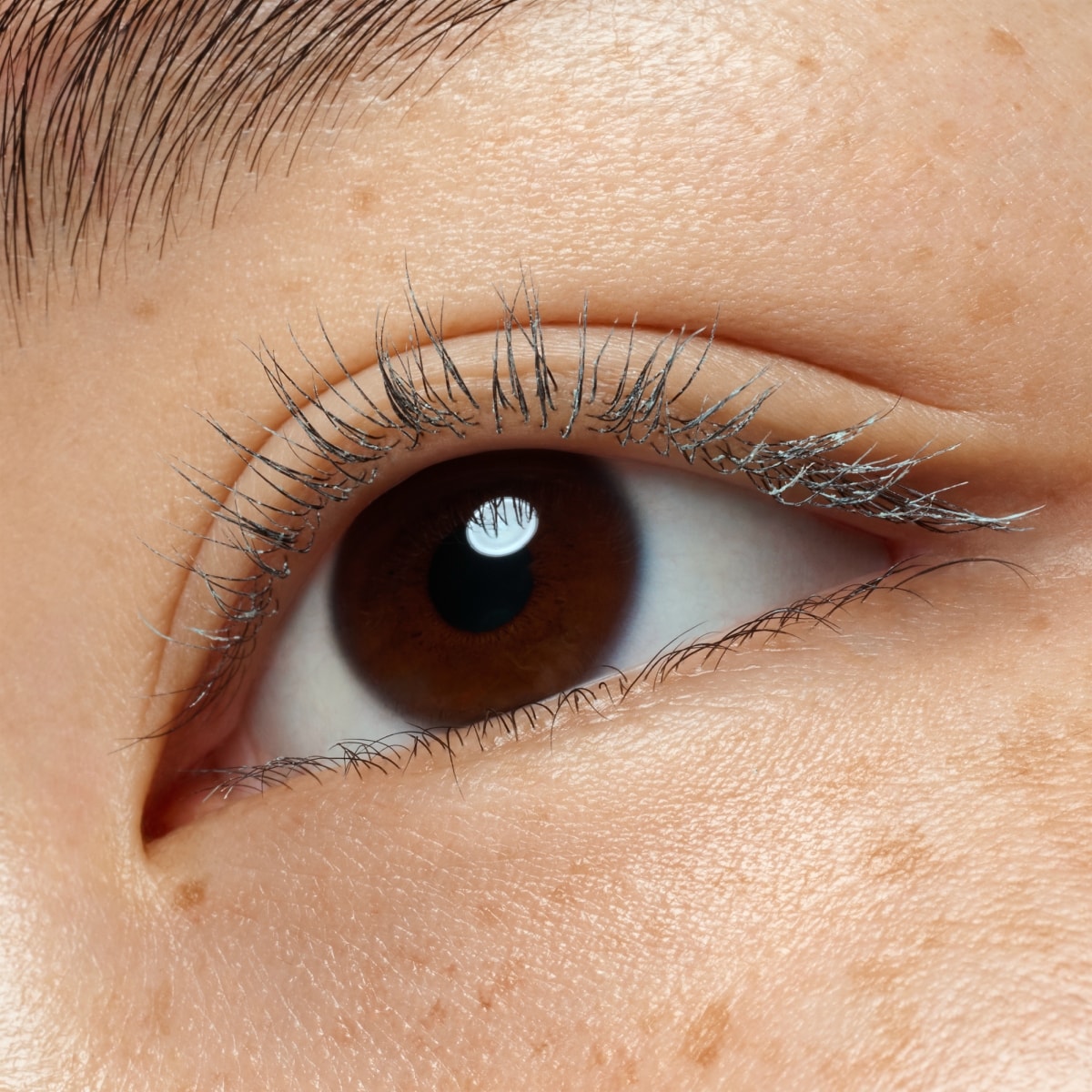 Mascara Primer Extra Length & Volume