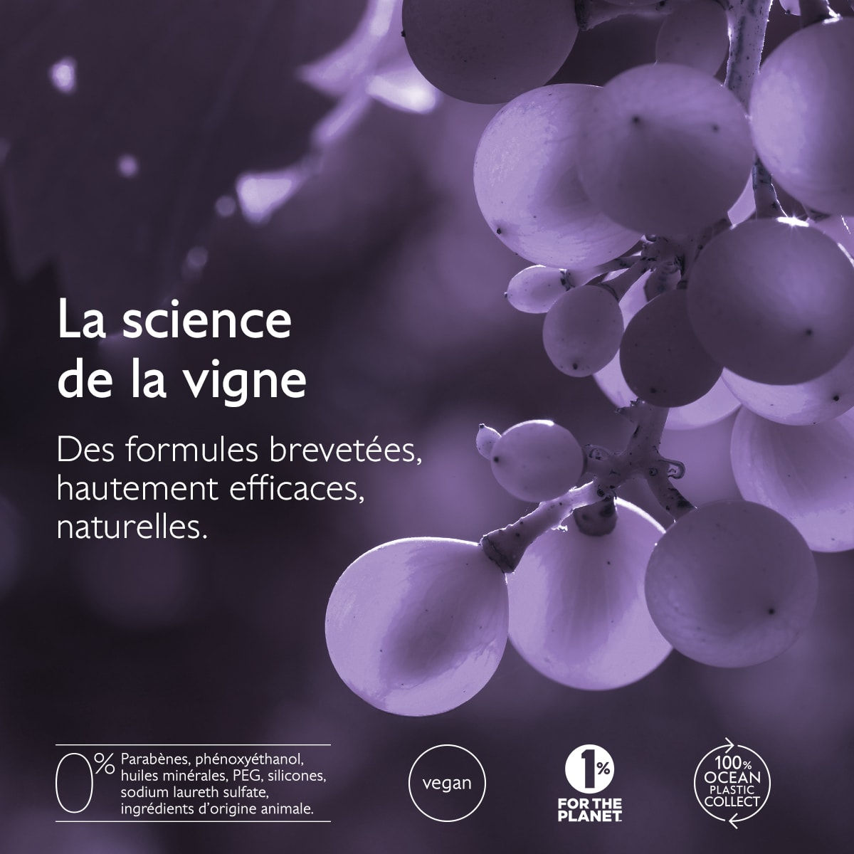 Shampoing Densité & Volume 200 ml
