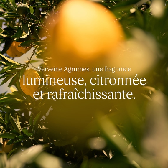 Verveine Agrumes Eau de Toilette