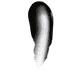 Shine Killer Primer  01