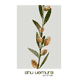 Silk Bloom Shampoo