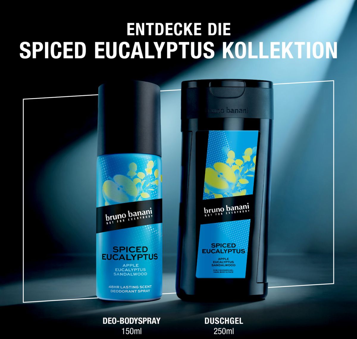 Spiced Eucalyptus Shower Gel