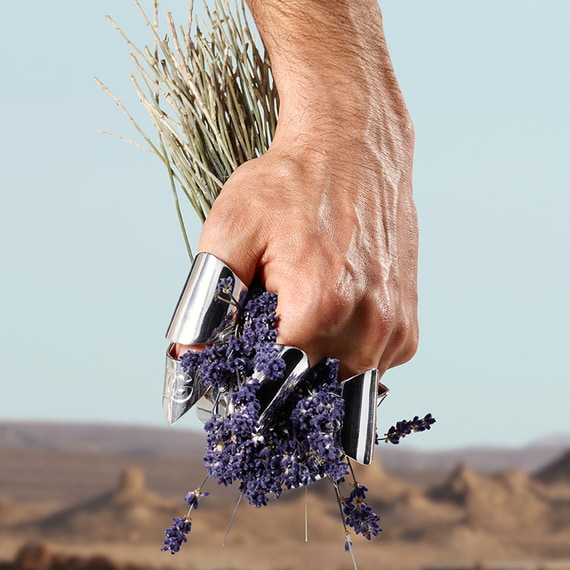 Eau de Toilette