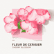 Eau de Parfum Fleur de Cerisier