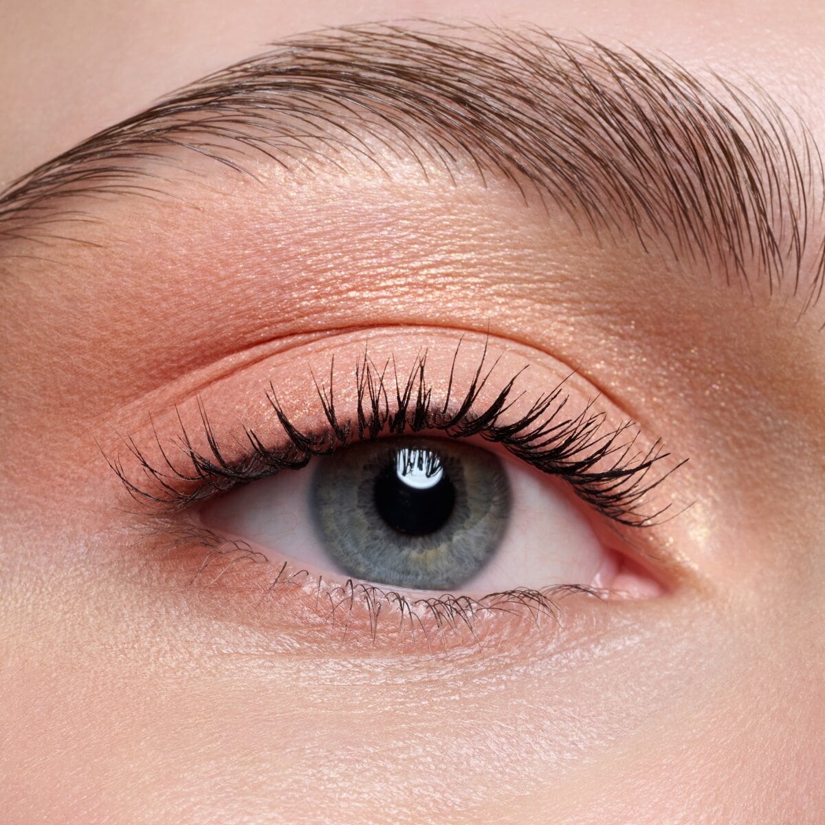 The Warm Honey Eyeshadow Palette