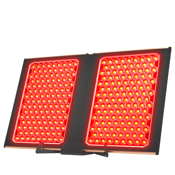 Dual LED Panel