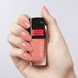 Quick Dry Nail Lacquer
