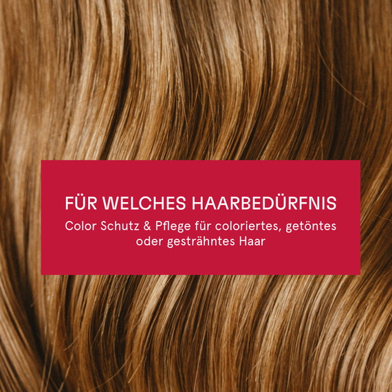 Color Schutz & Pflege Shampoo