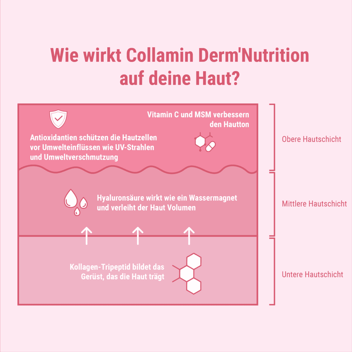 Derm'Nutrition Collagen