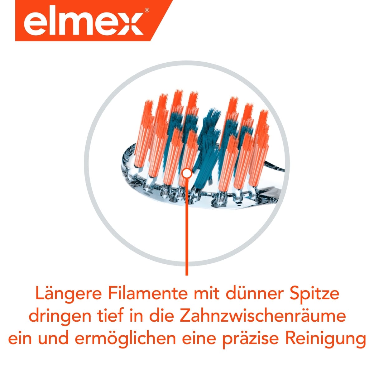 Pro Interdental Brosse à Dents Moyen