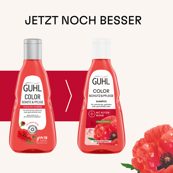 Color Schutz & Pflege Shampoo
