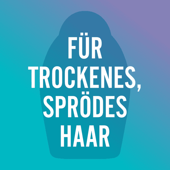 Argan Oil of Morocco Shampoo