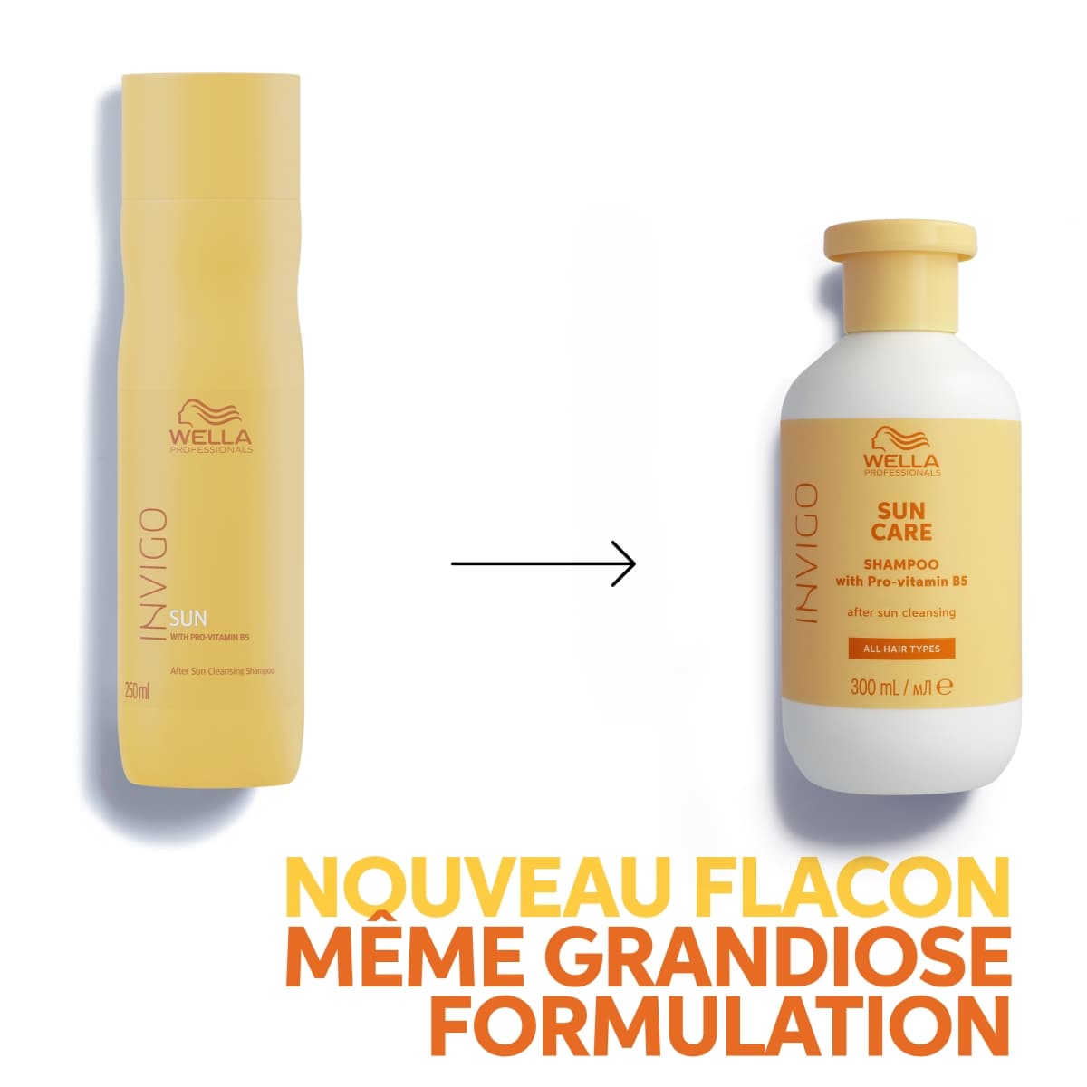 Care Shampoo