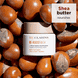  Re-Boost Rich Hydra-Nourishing Cream