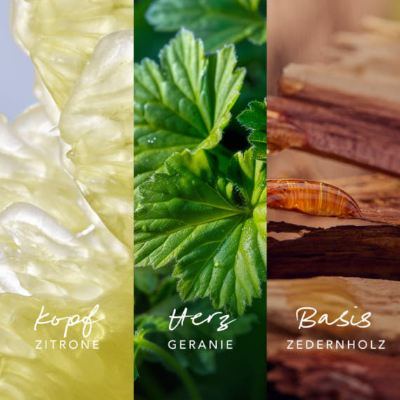 Inspired Nature Man Eau De Parfum