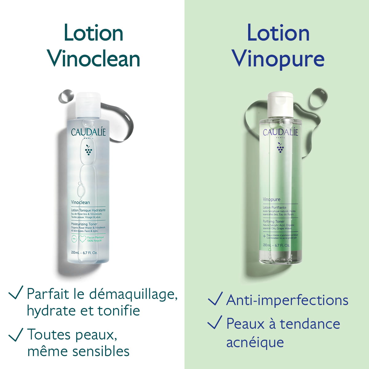 Lotion Purifiante