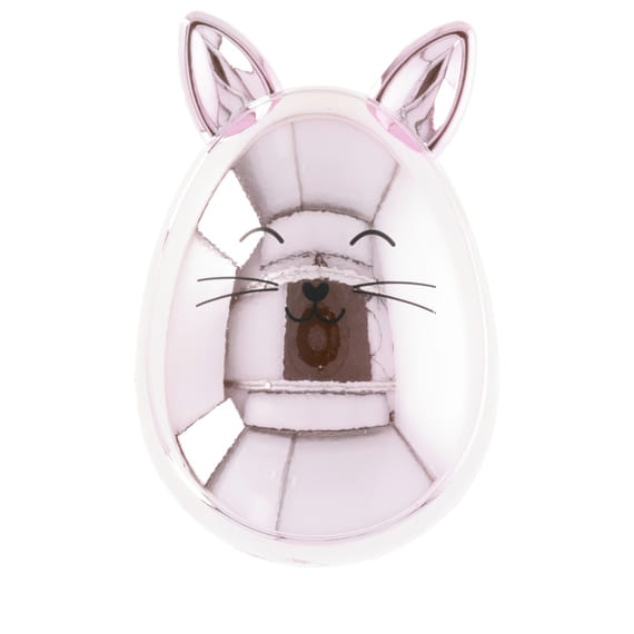 Cat Hairbrush Set