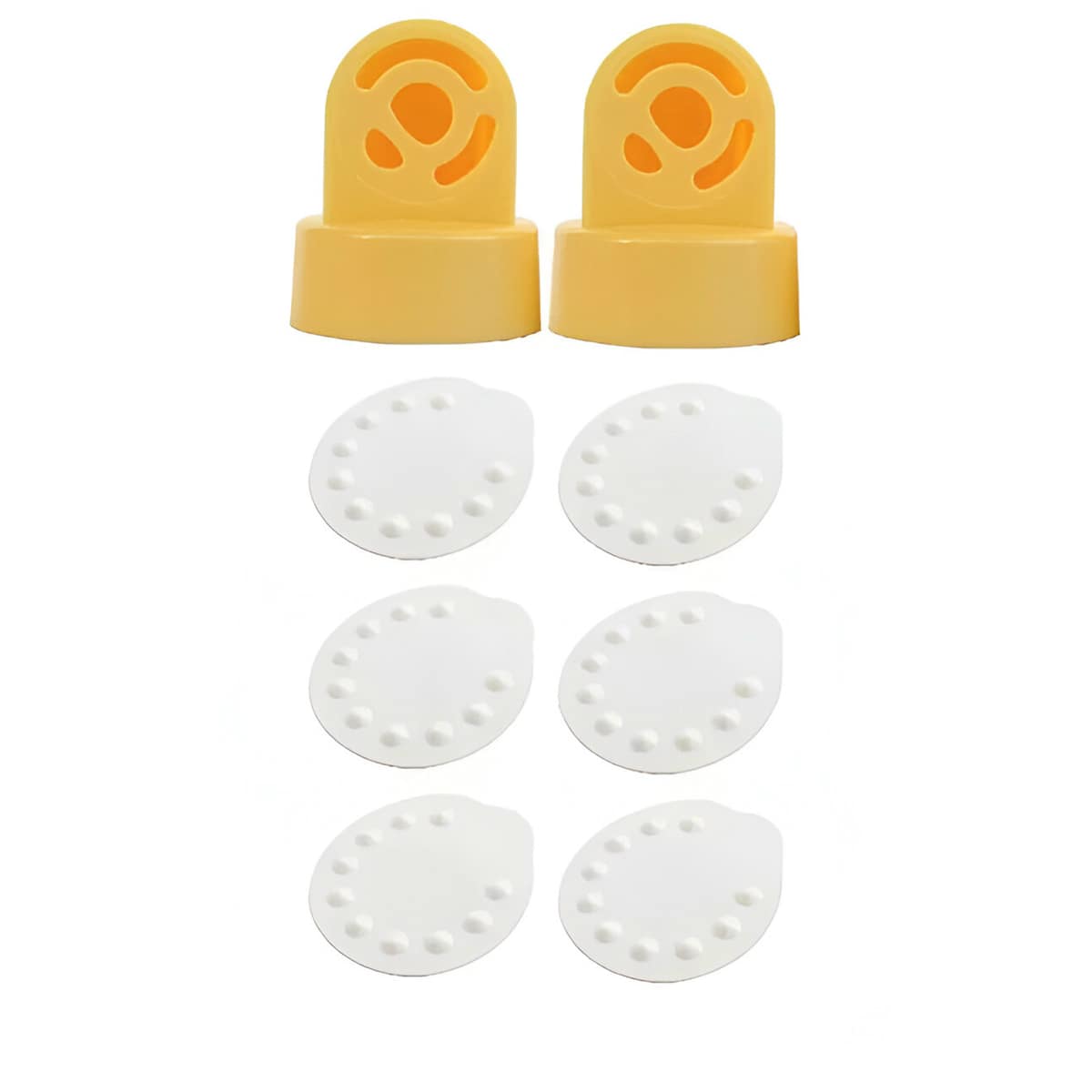 Valves & Membranes
