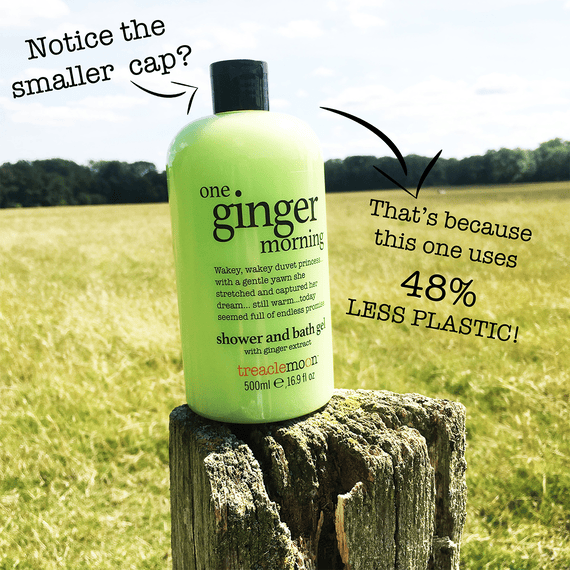 One Ginger Morning Mini Shower