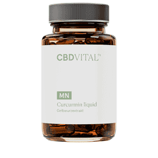 Curcumin Liquid - 60 Kapseln
