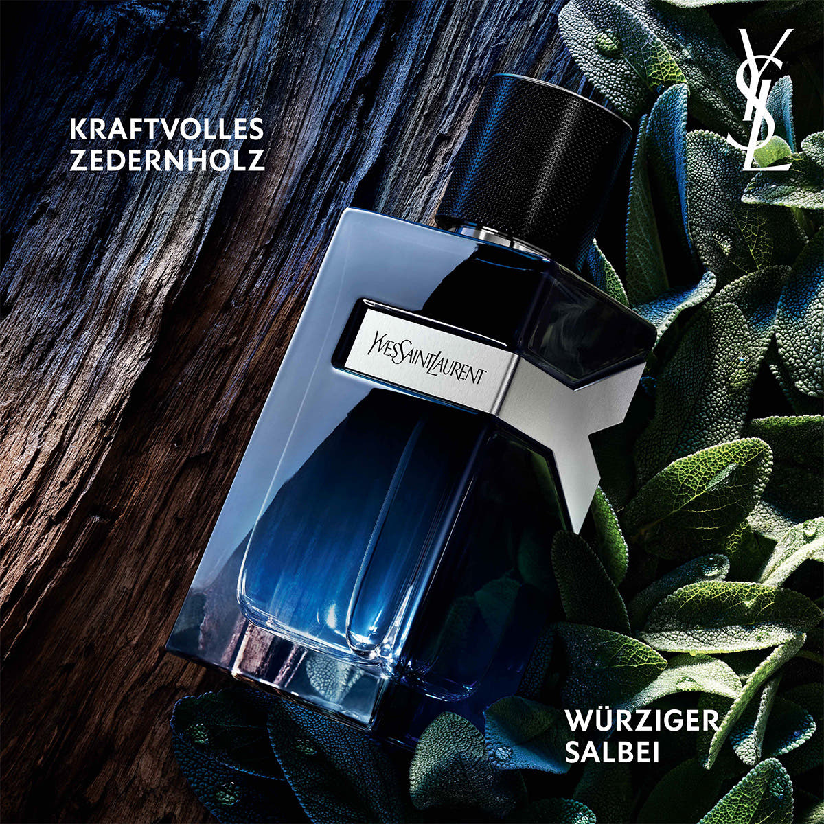 Y Eau de Parfum