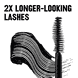 Xtensionnaire Mascara WP