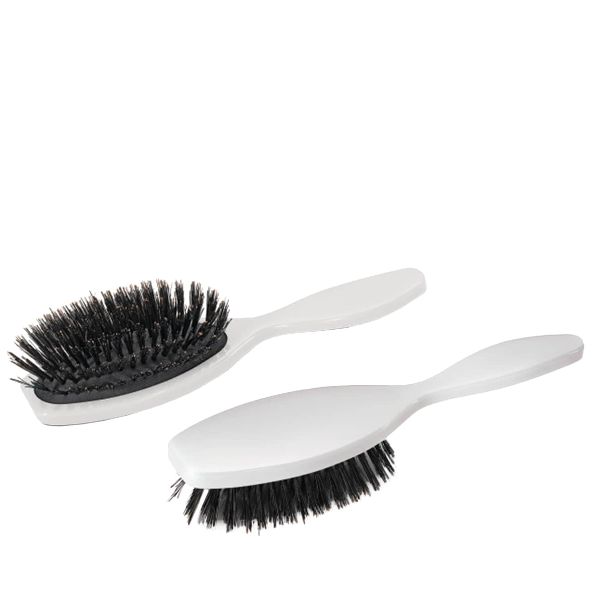 Spazzola per Capelli Basic Brilliance & Shine - rotondo Spazzola in Setole di Cinghiale