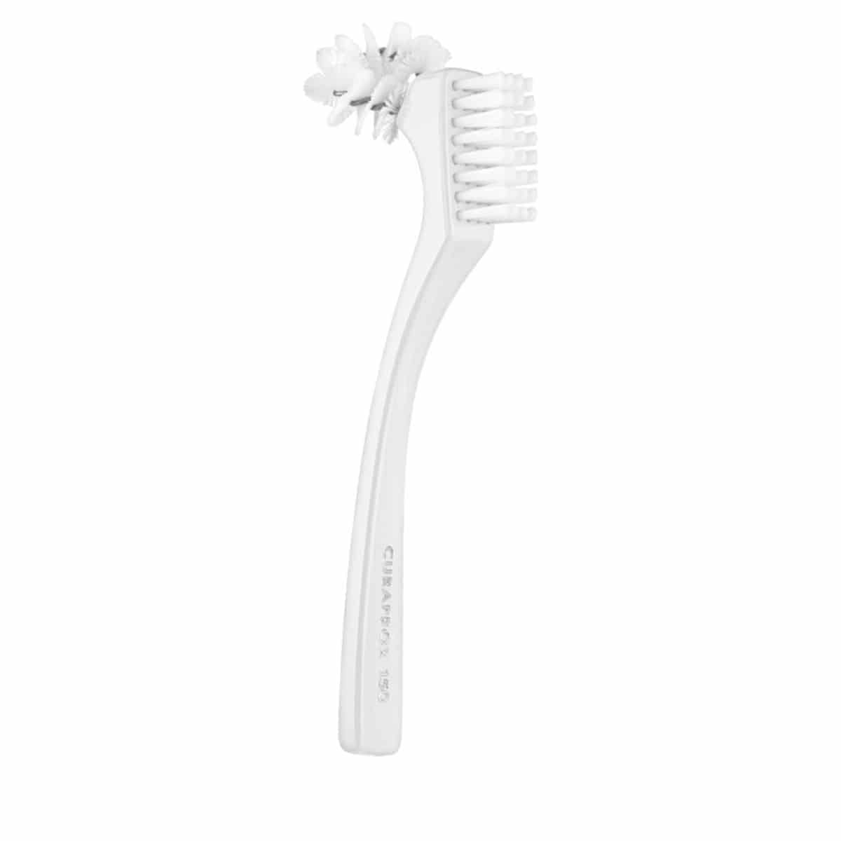 BDC Brosse pour prothèses dentaires