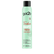 Fresh it Up Dry Shampoo Extra Fresh