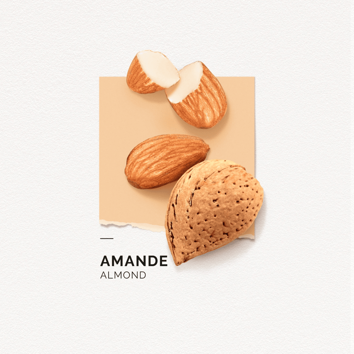 Eau de Parfum Amande