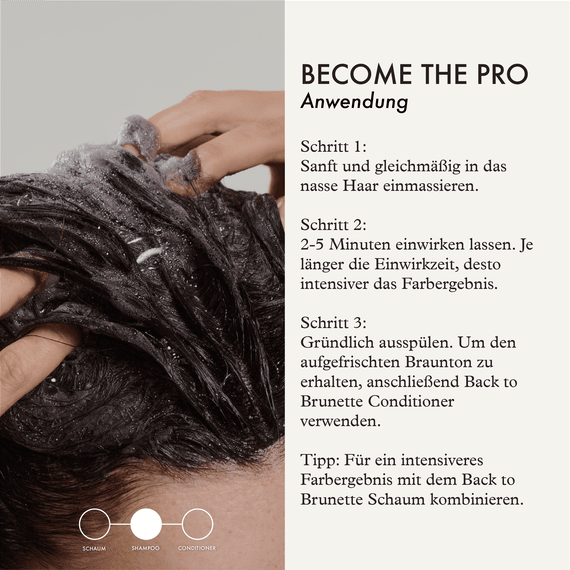 Back To Brunette Grey Blending Shampoo