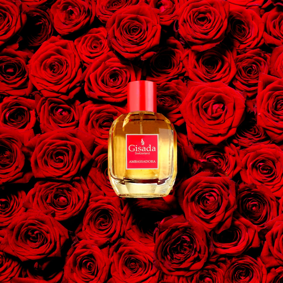Ambassadora Eau de Parfum
