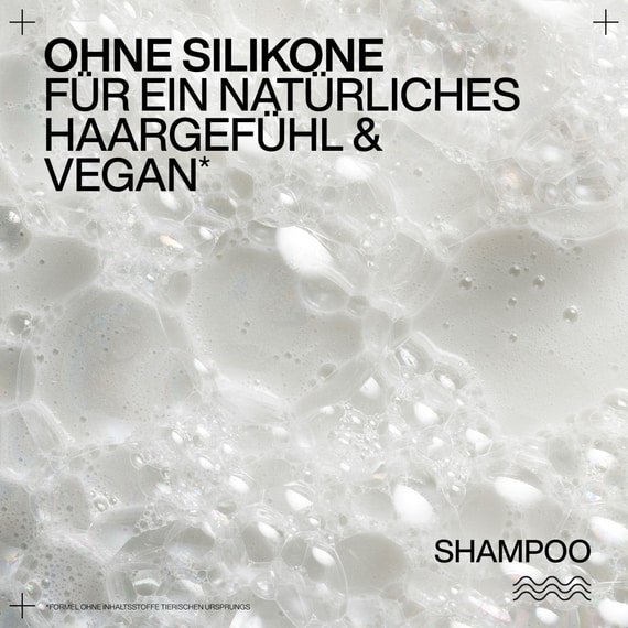 Shampoo