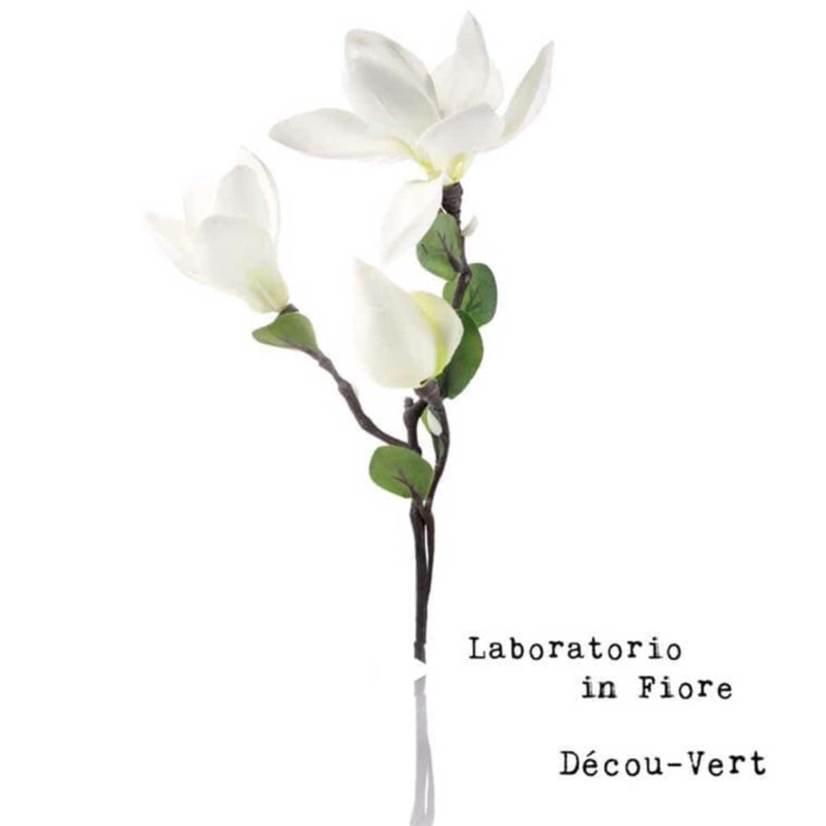 Décou-Vert Eau de Parfum 