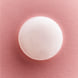 Douche Soin Rose & Almond Oil
