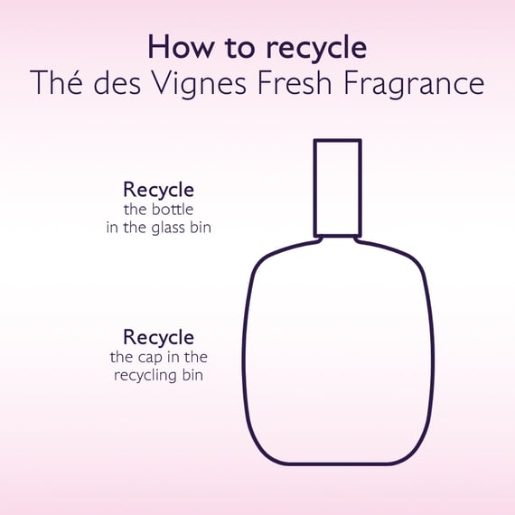 Fresh Fragrance
