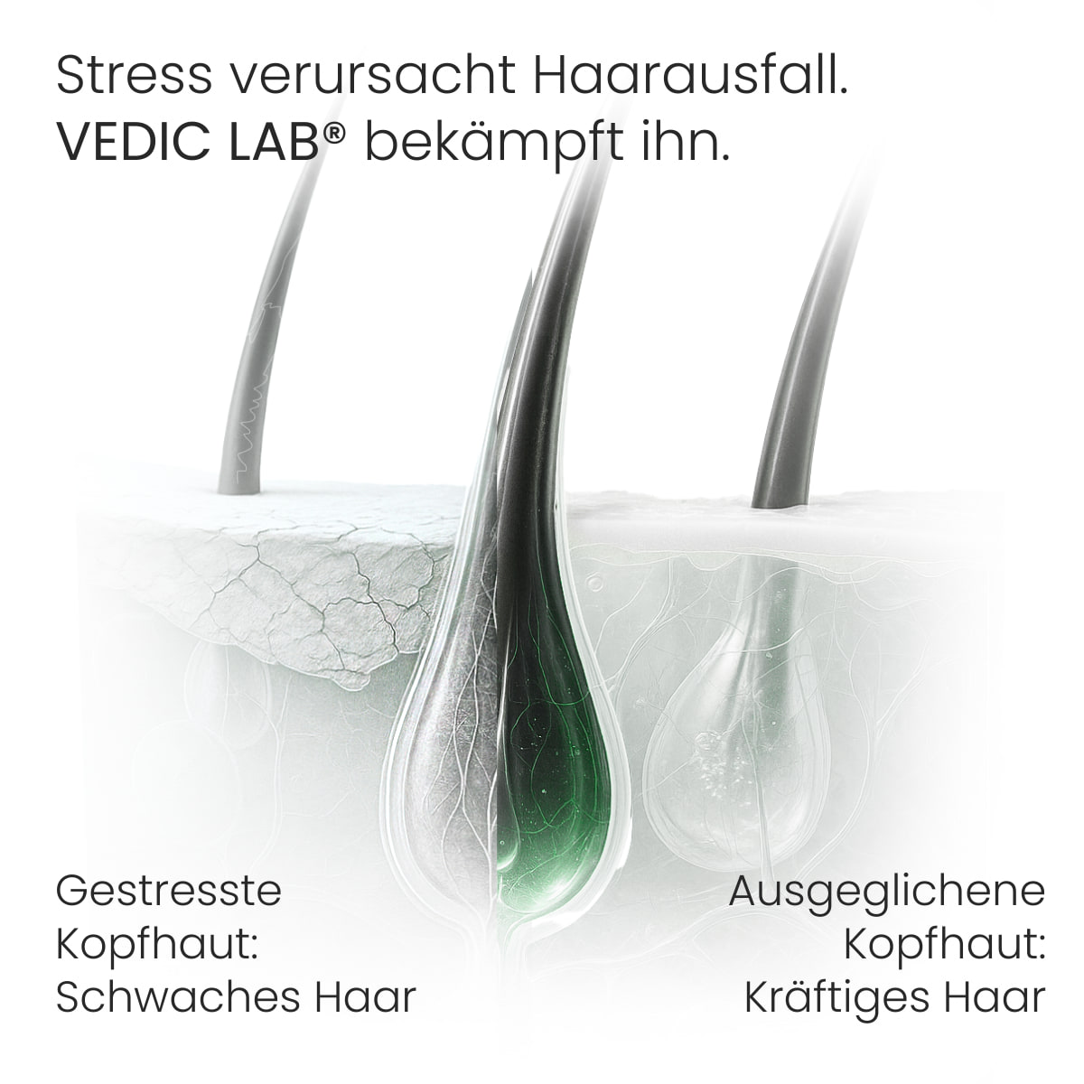 Tages-Kopfhaut-Elixier mit UVA, UVB