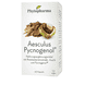 Aesculus Pycnogenol Capsule – 60 Pz.