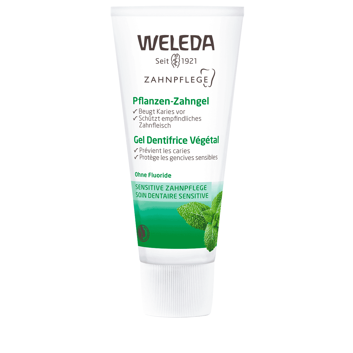 Gel Dentifrice Végétal