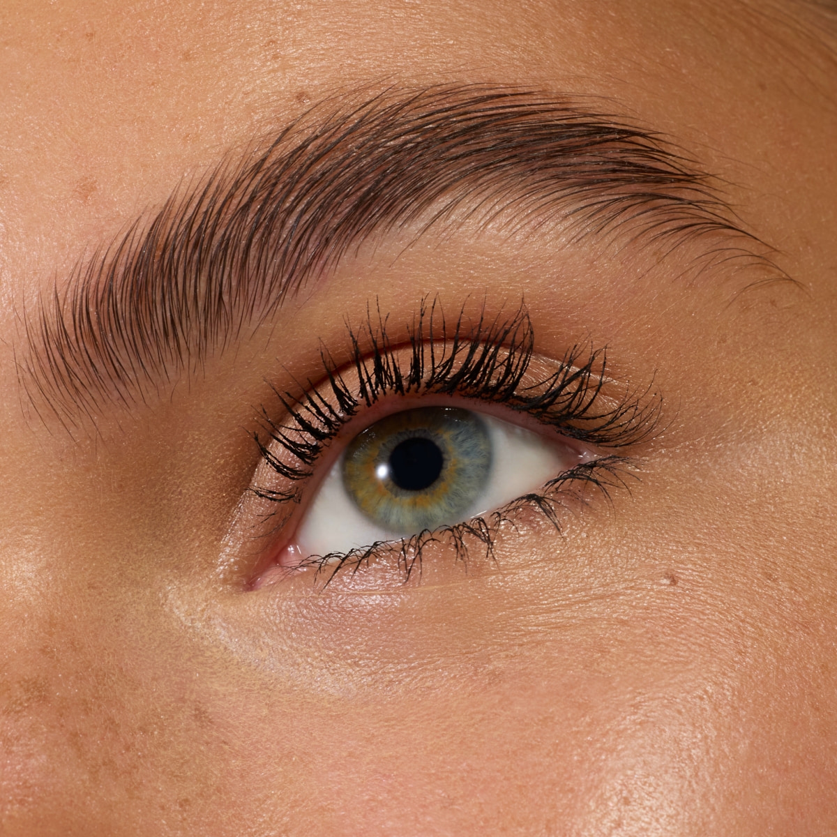 Dramatic False Lash Effect Mascara Waterproof