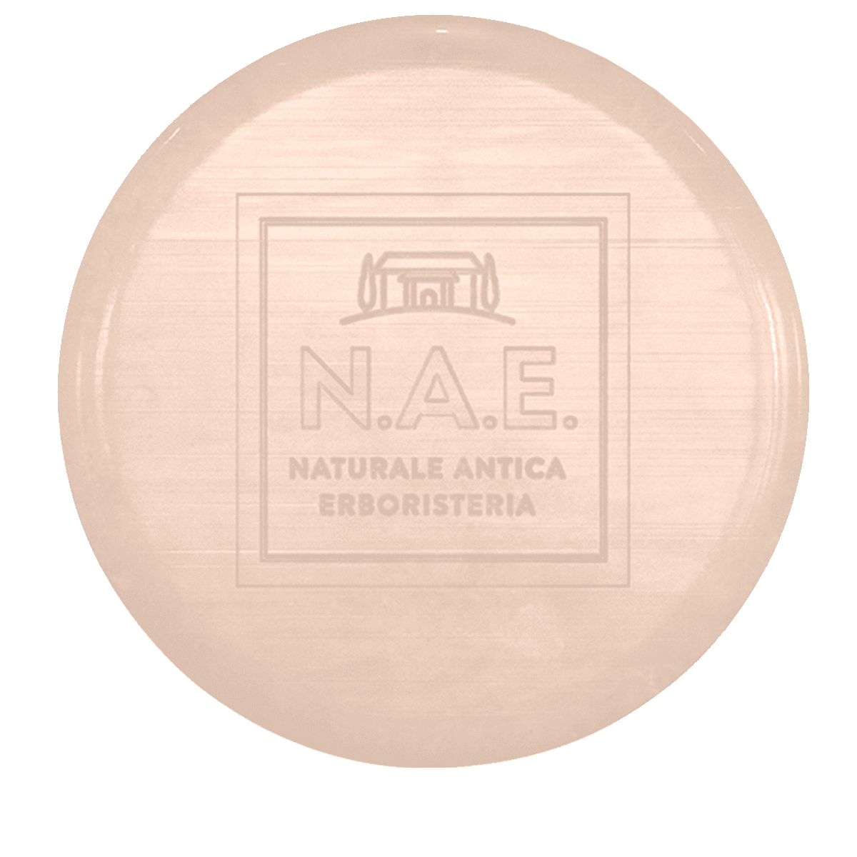 Riparazione Reparierendes Festes Shampoo