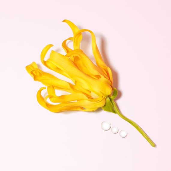 My Way Eau de Parfum Ylang