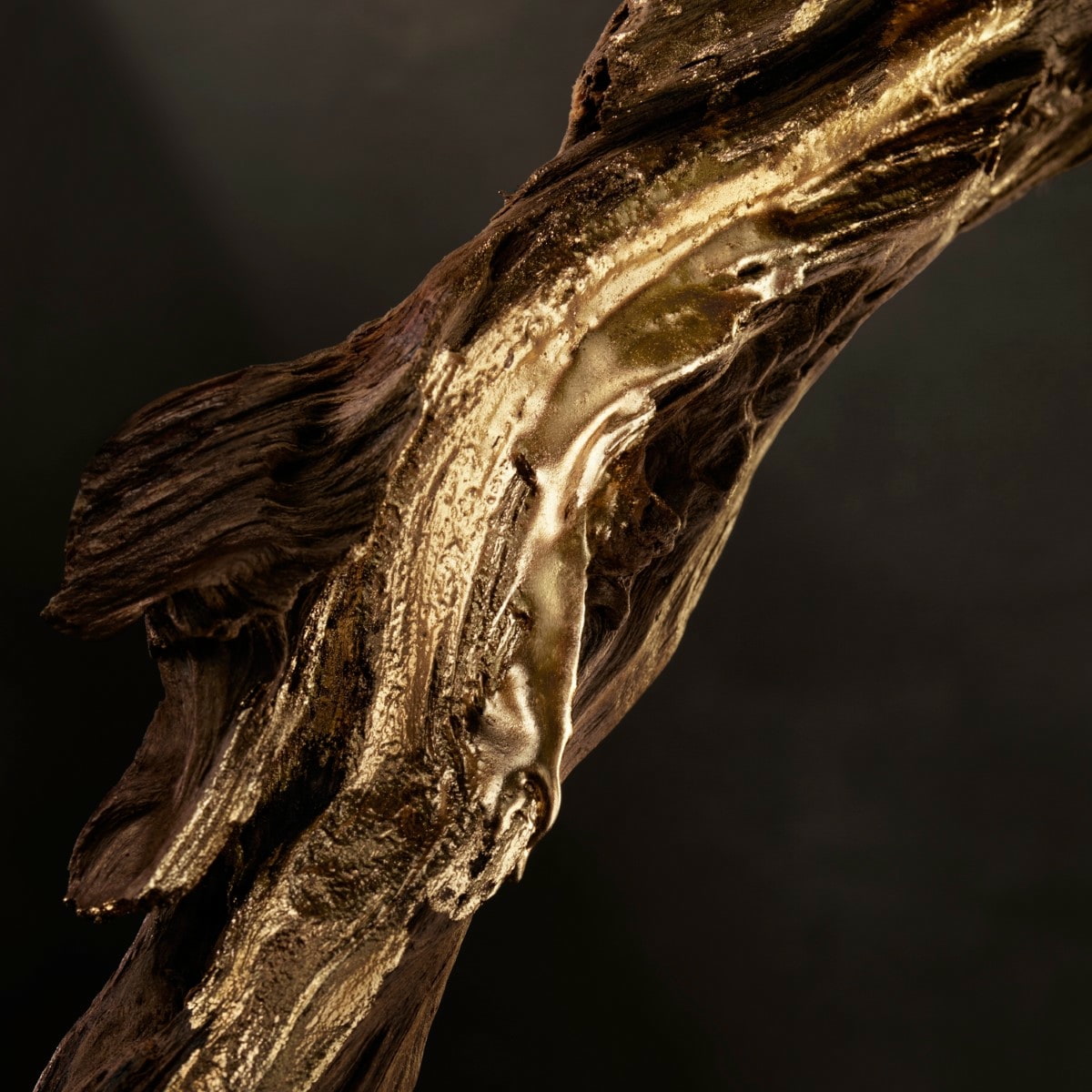 Absolu Parfum Intense