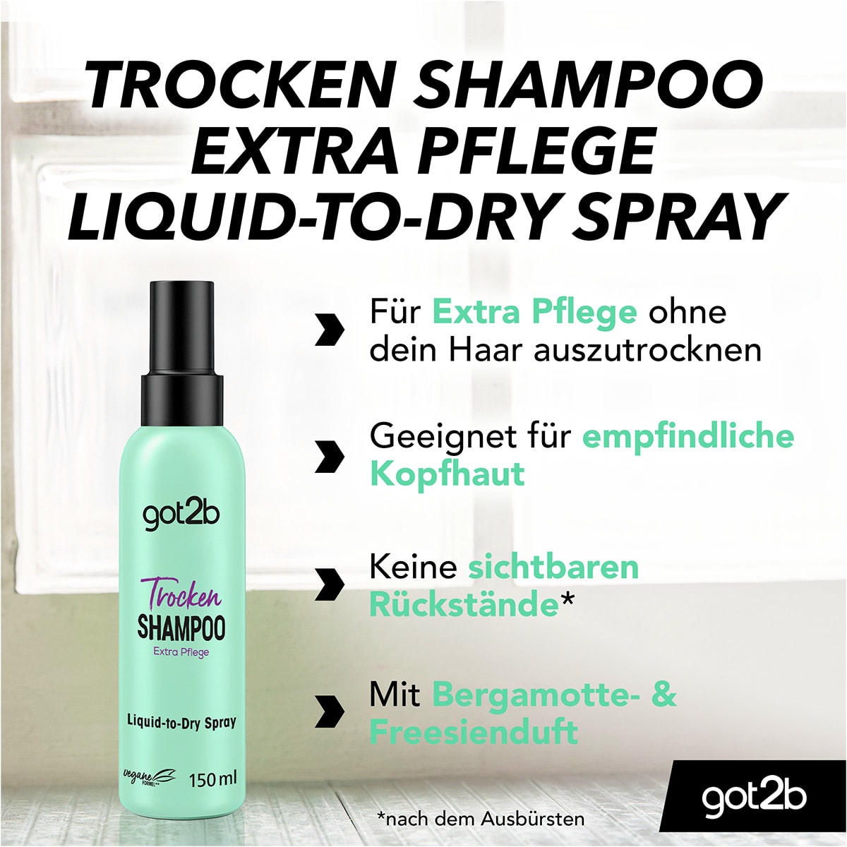 Fresh it Up Dry Shampoo Extra Pflege